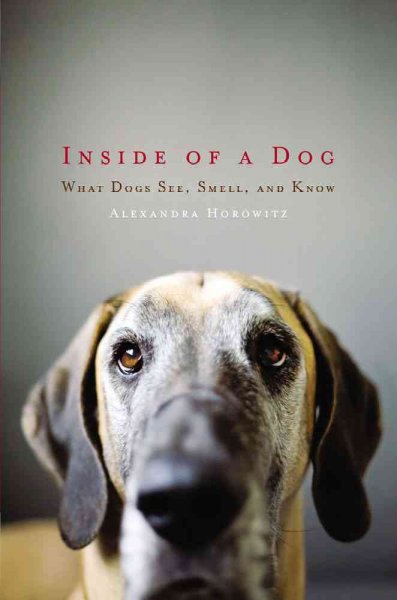 Inside of a dog : what dogs see, smell, and know / Alexandra Horowitz.