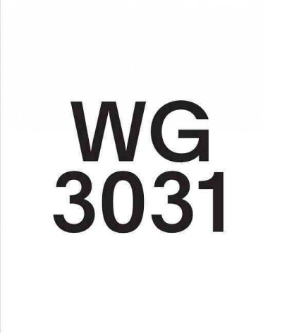 Wade Guyton : WG3031 / editor, Beatrix Ruf.