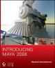 Introducing Maya 2008  Cover Image
